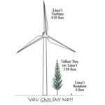 Lana'i Wind Turbine Dimensions Compared to Tallest Norfolk Pine