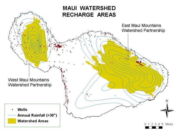 MauiWellLocations