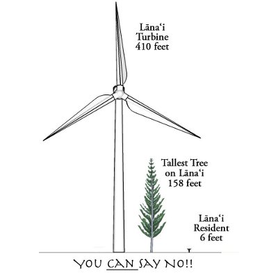 Lana'i Wind Turbine Dimensions Compared to Tallest Norfolk Pine