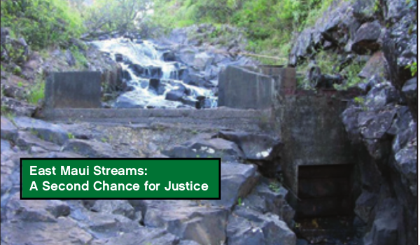 The precedent setting Hawai‘i Supreme Court decision over Na Wai Eha reopened the State Water Commission’s review of adequate stream flow in 27 streams in East Maui, now diverted by East Maui Irrigation. Maui Tomorrow is representing the interests of native flora and fauna habitat; ongoing watershed health; and families dependent on a fair share of those waters for their homes, farms, recreation and aesthetic enjoyment.