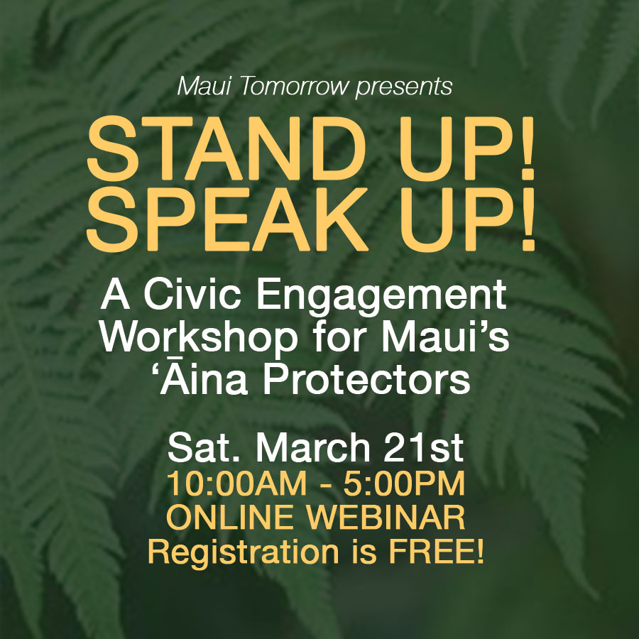 Stand Up! Speak Up! A Civic Engagement Workshop - Webinar Hosted by Maui Tomorrow