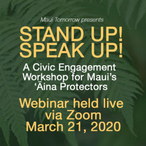 Maui Tomorrow Civic Engagement Webinar March 2020