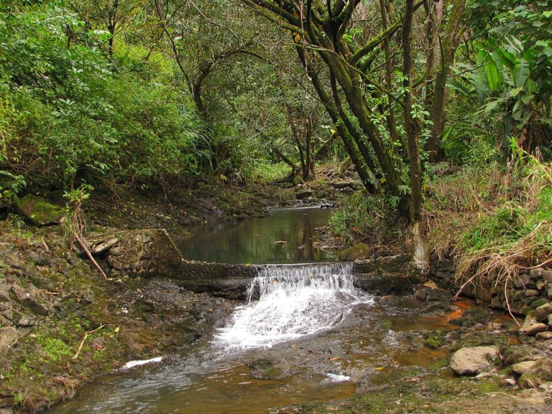 Huelo Stream and Water Diversion