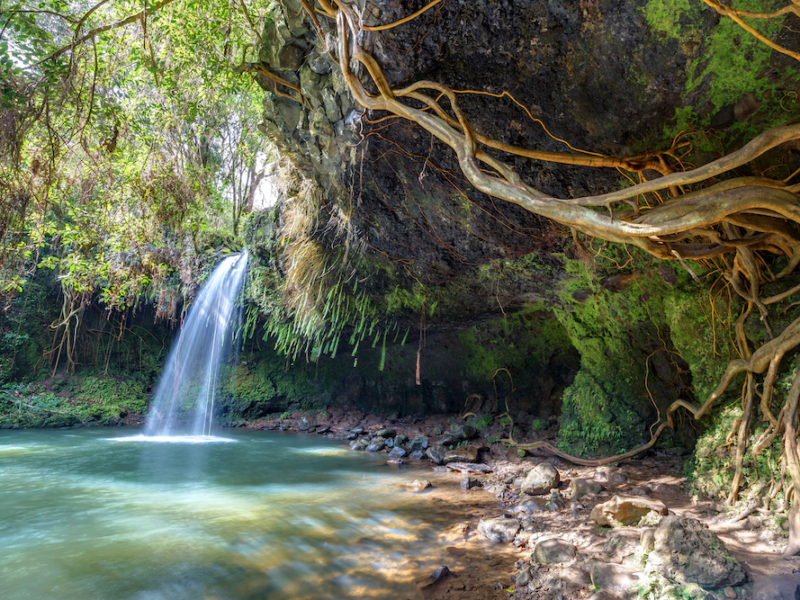 Twin Falls, Maui. Image licensed from Shutterstock.