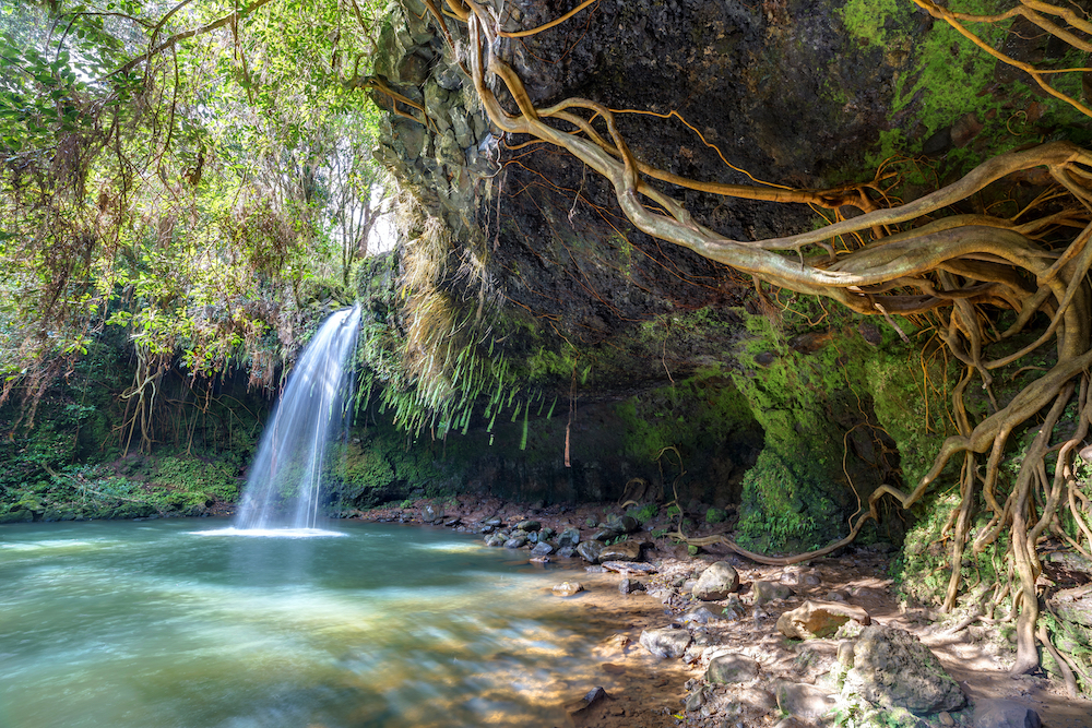 Twin Falls, Maui. Image licensed from Shutterstock.